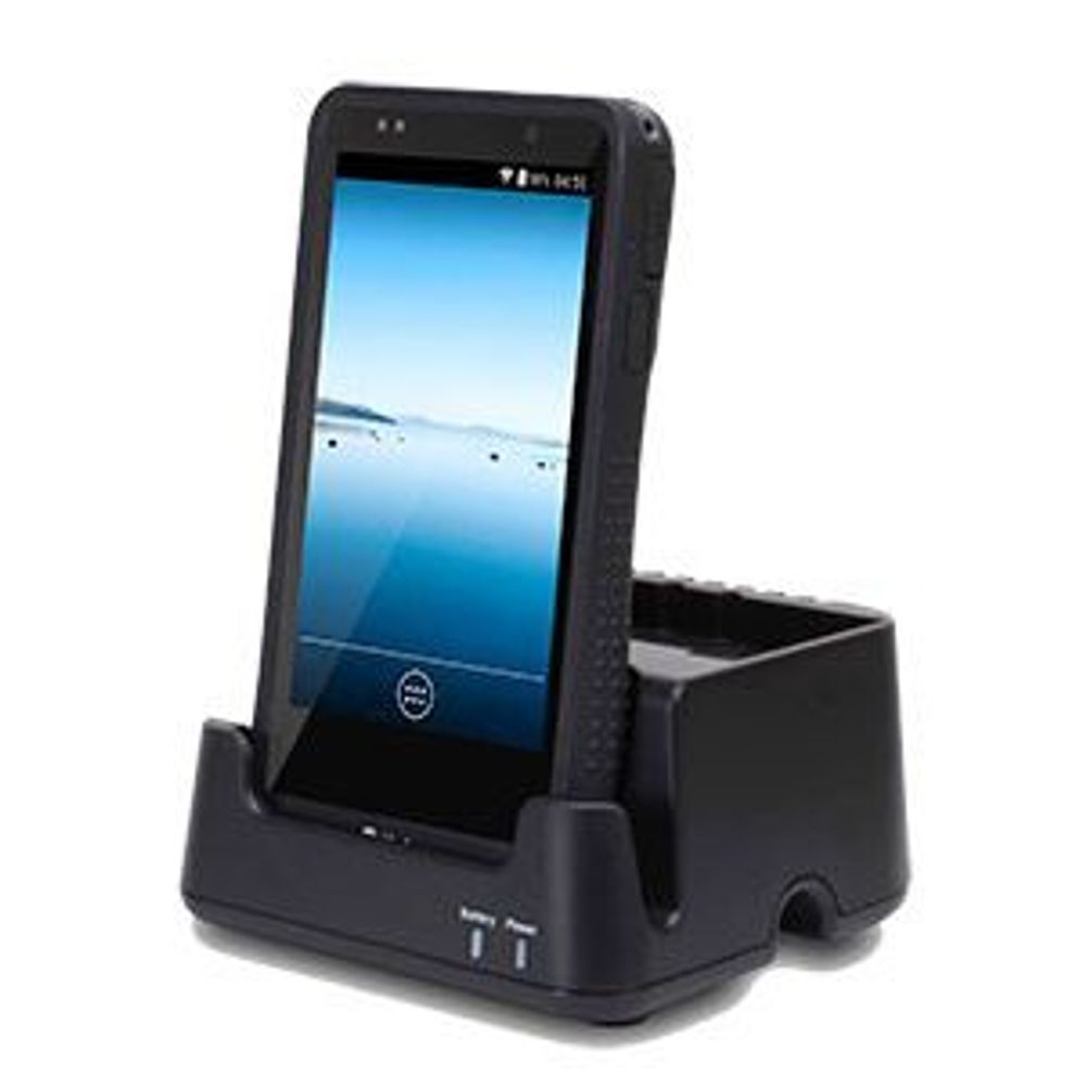 DT4100 Hand Held Unit Replacement Battery Cover