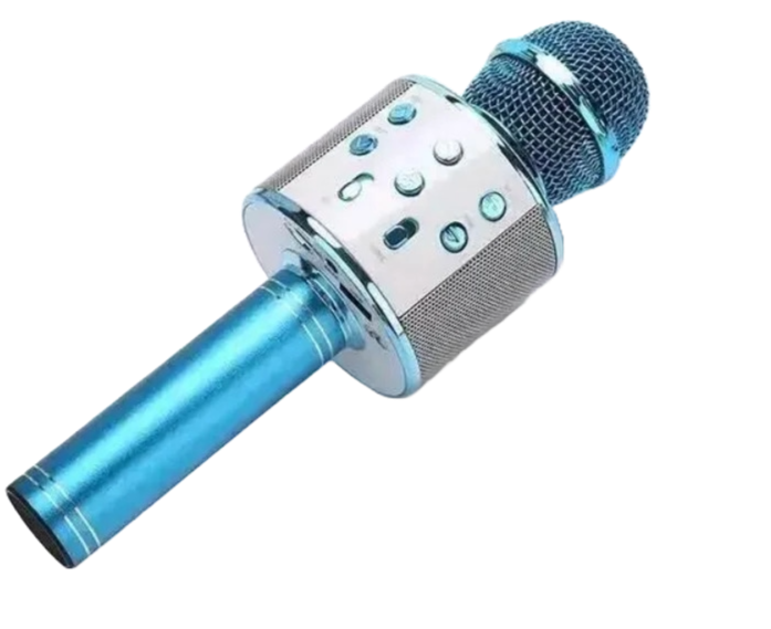 Wireless Handheld Karaoke Microphone with USB Speaker for Kids and Music Recording