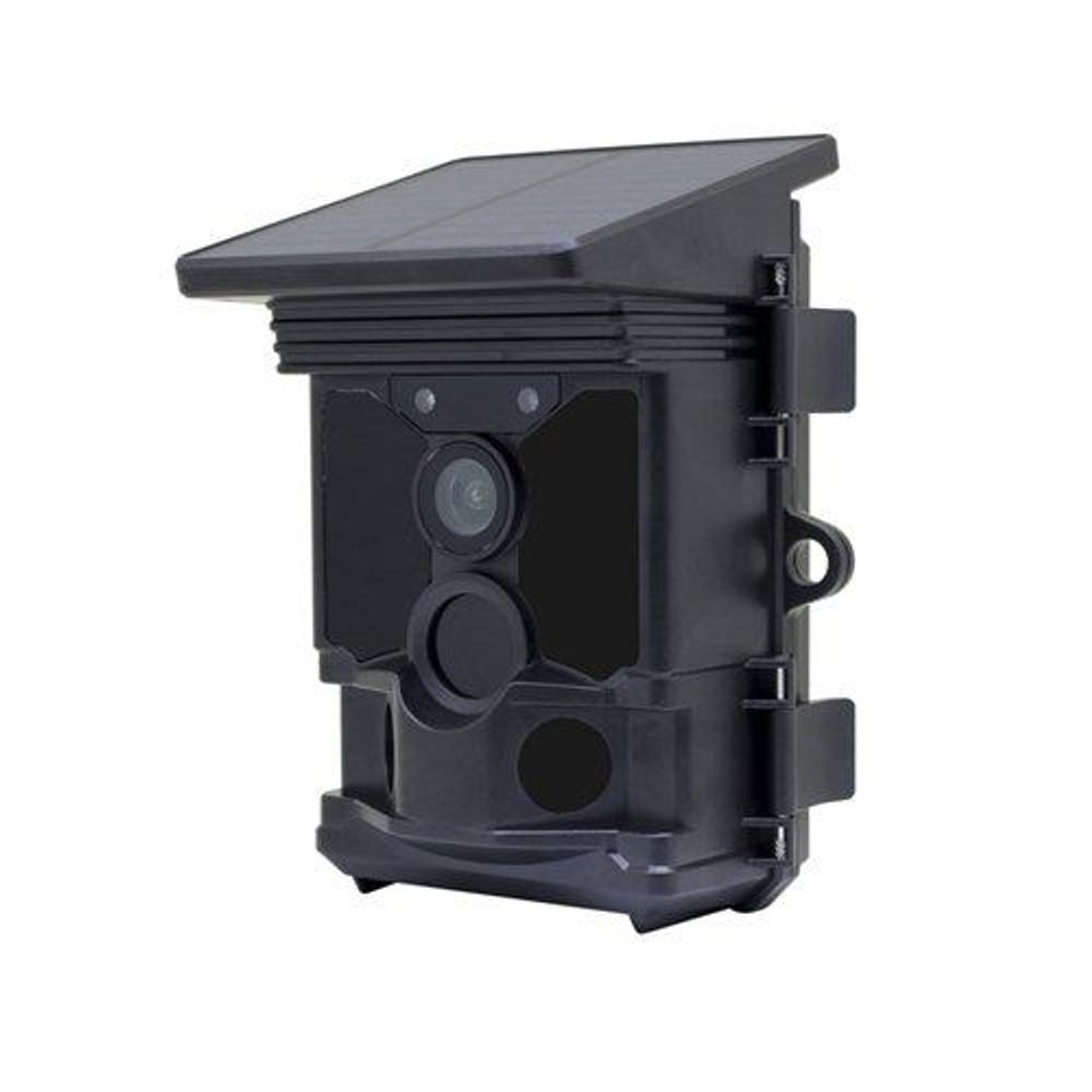 QC8065 - 4K Outdoor Trail Camera with Integrated Solar Panel