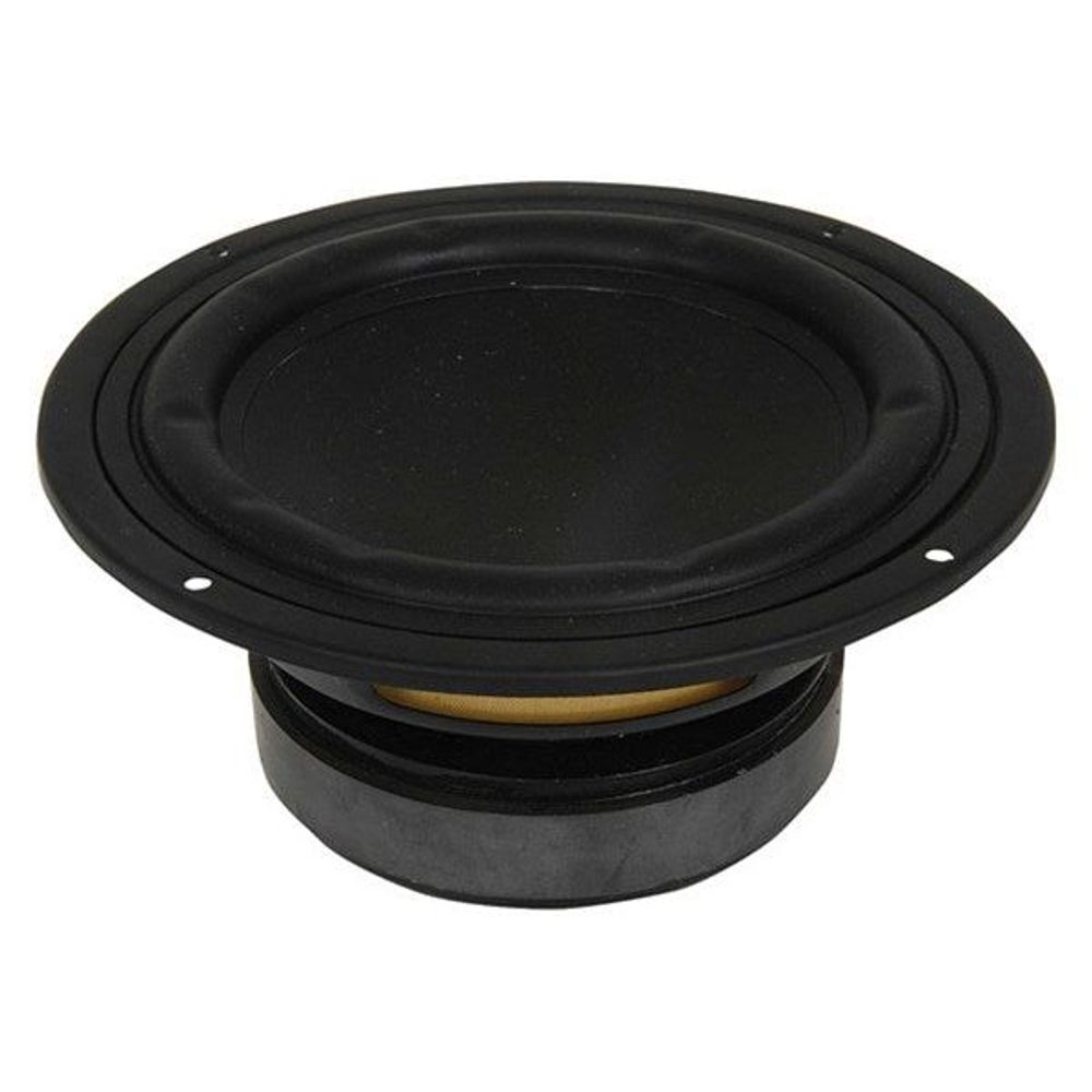 CW2199 - Woofer Speaker Driver - 12 Inch