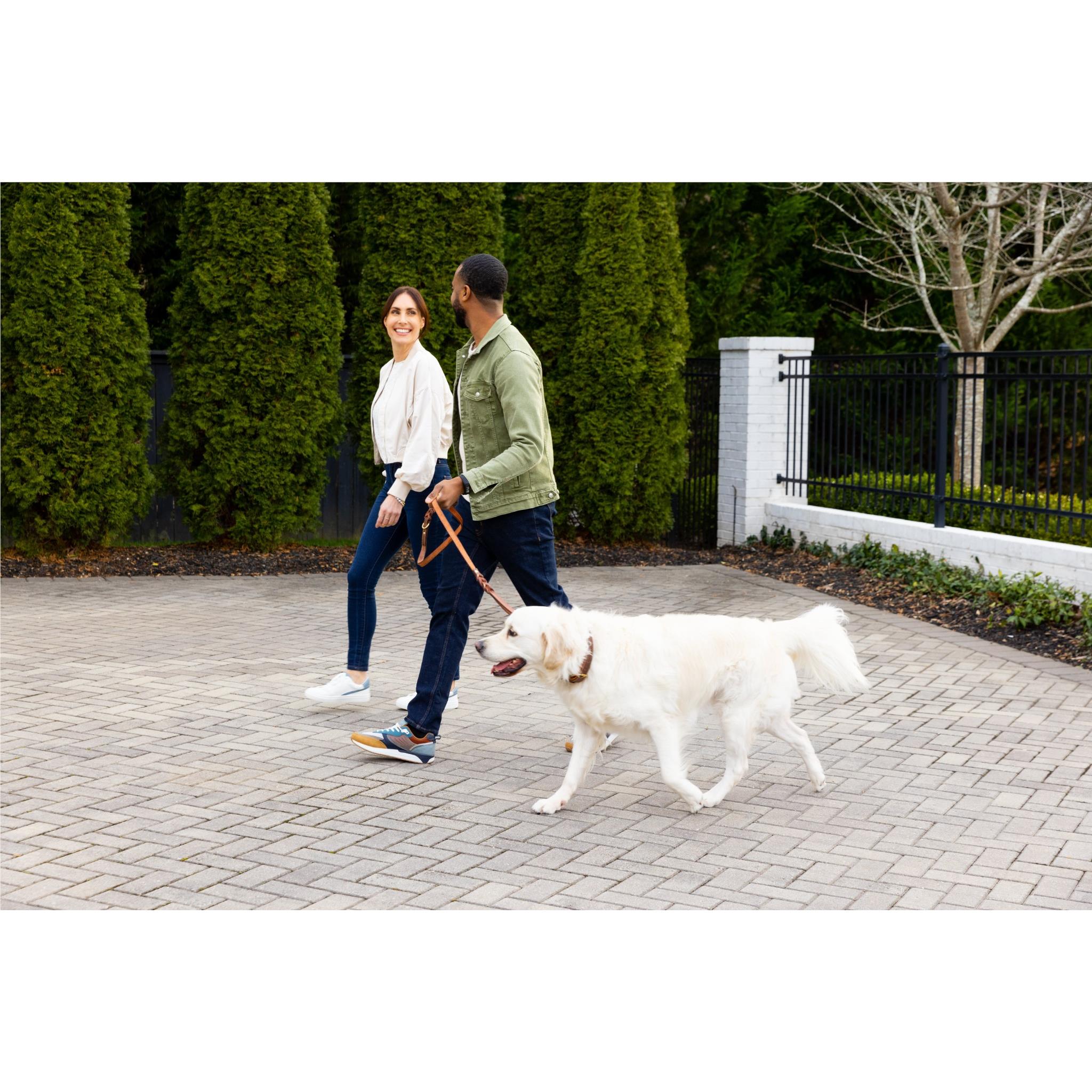 Garmin Vivosmart 5 Activity Tracker Black (L)