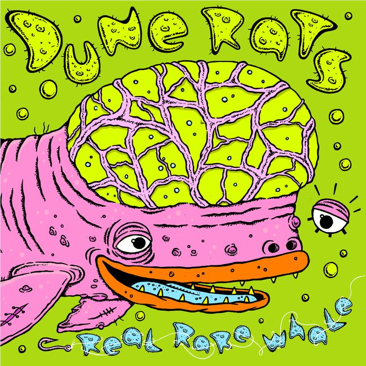 Real Rare Whale (Vinyl) - By: Dune Rats