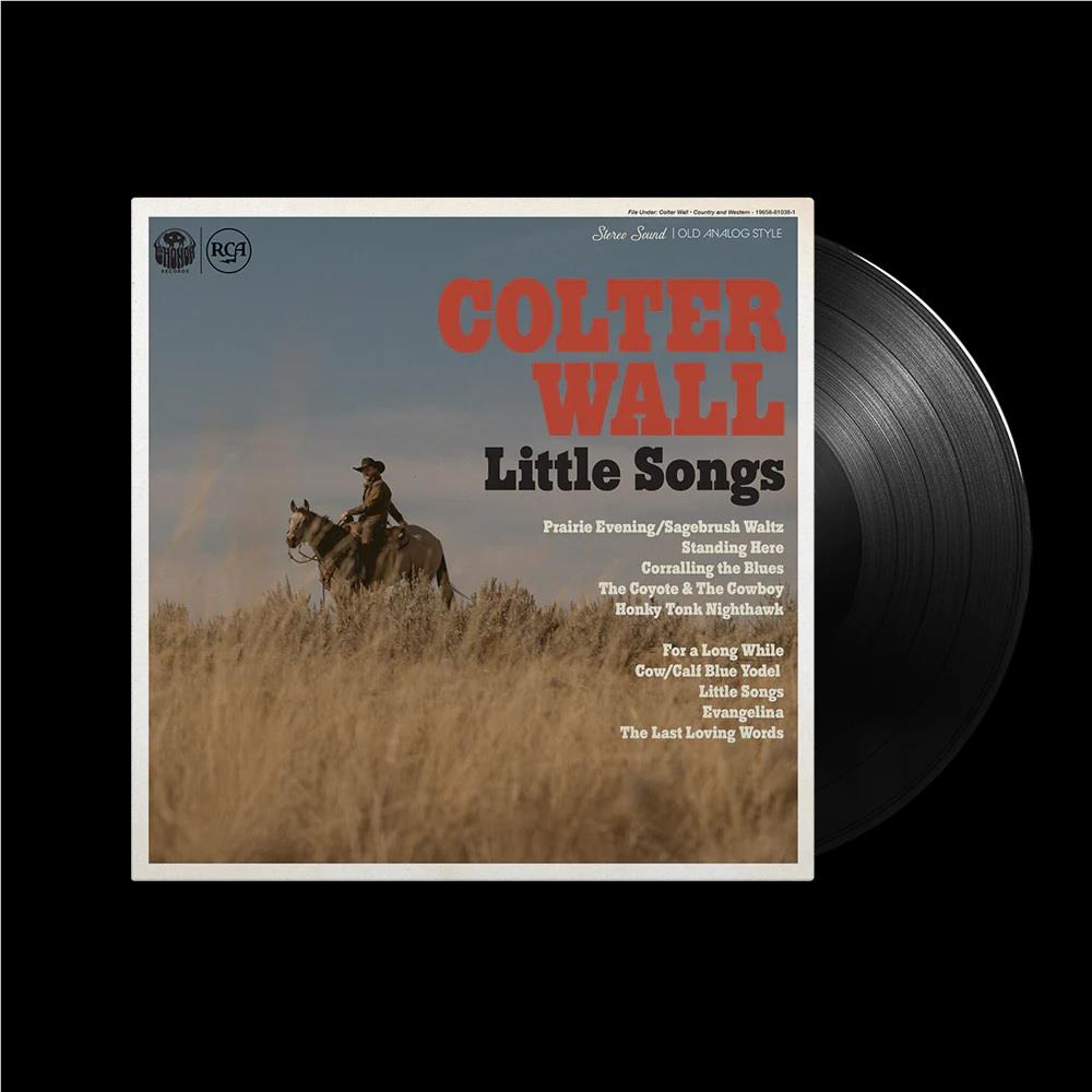 Little Songs (Vinyl) - By: Wall, Colter