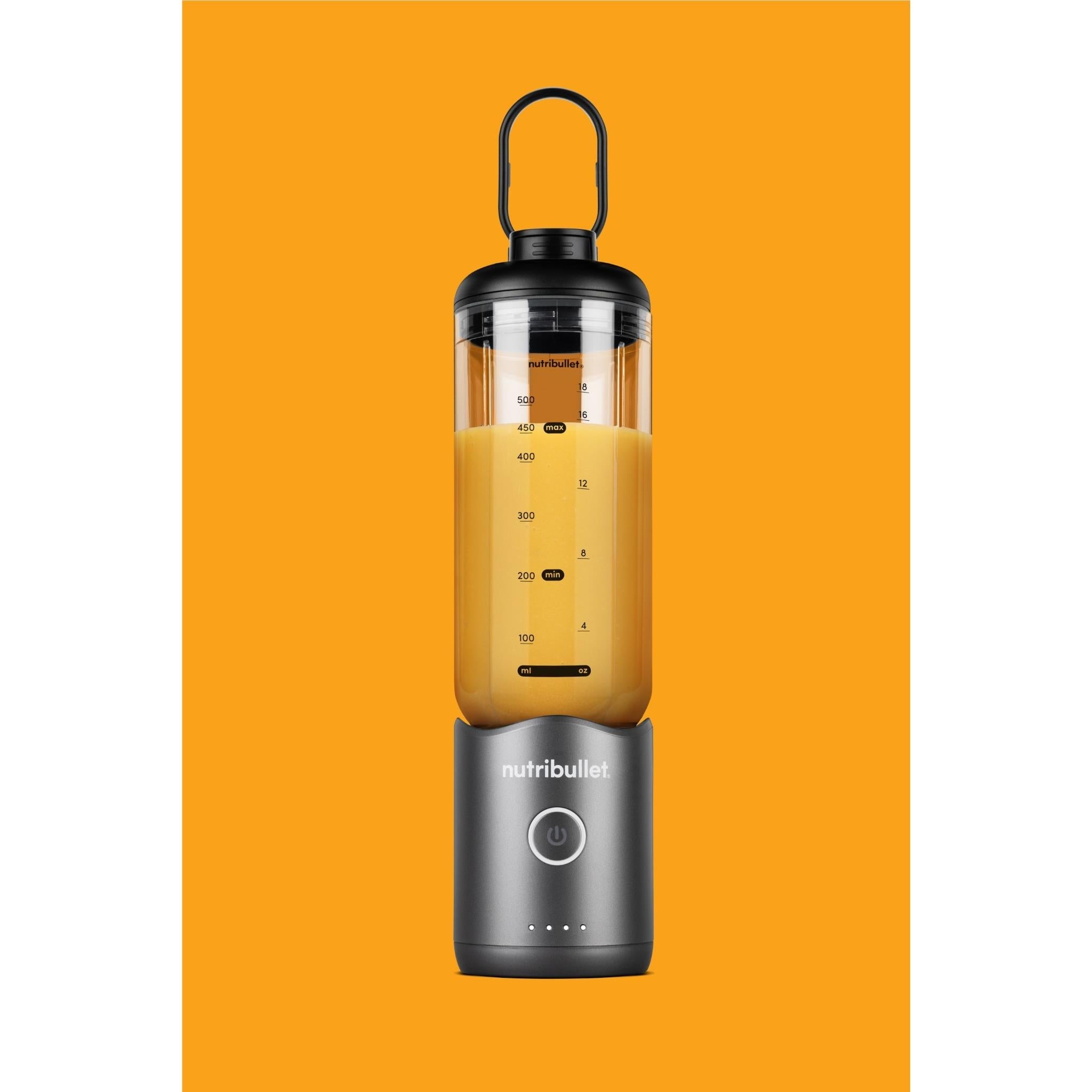 NutriBullet Flex Portable Blender (Gun Metal)