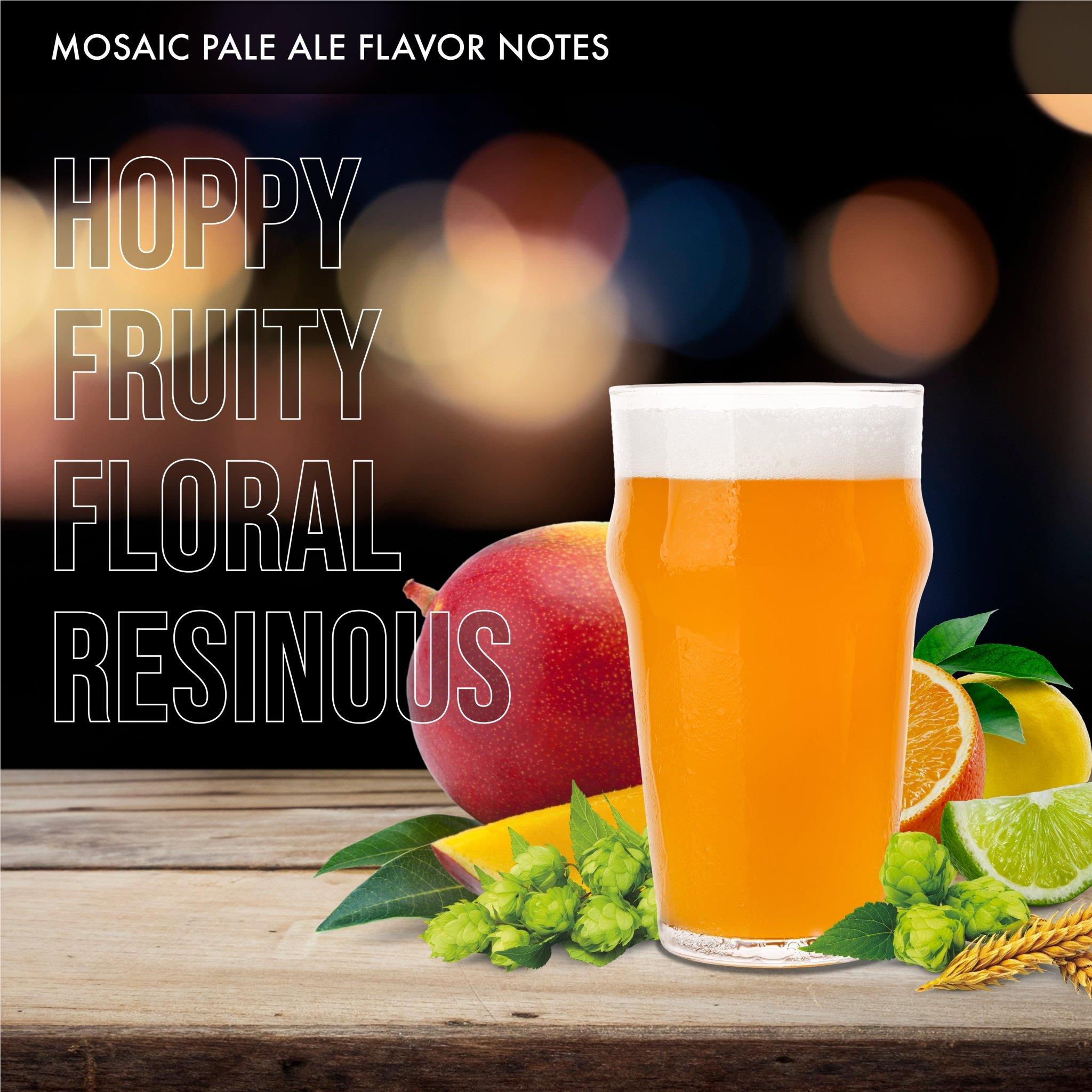 iGulu Ingredient Kits - Pale Ale (Pack)