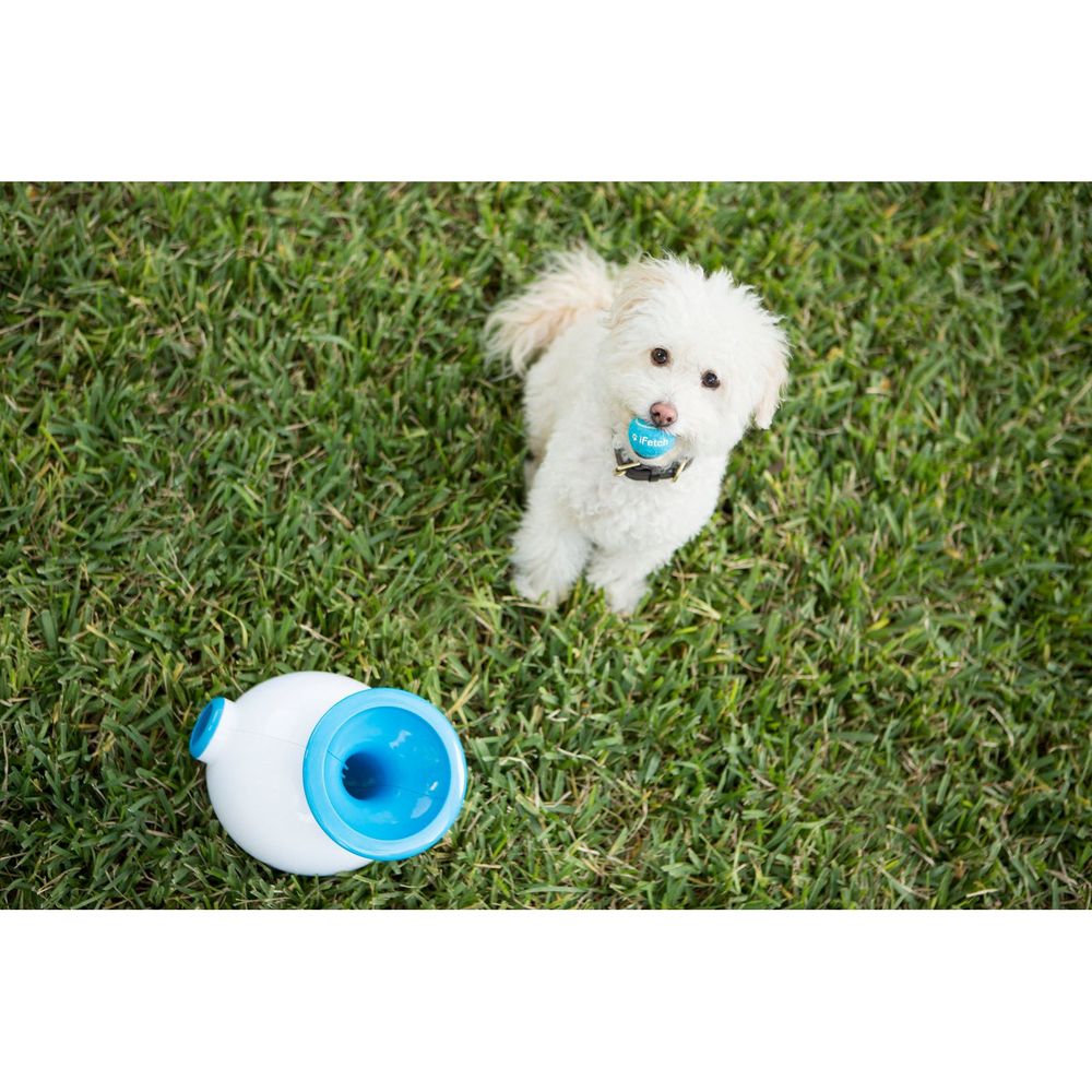 Flipside Ball Launcher