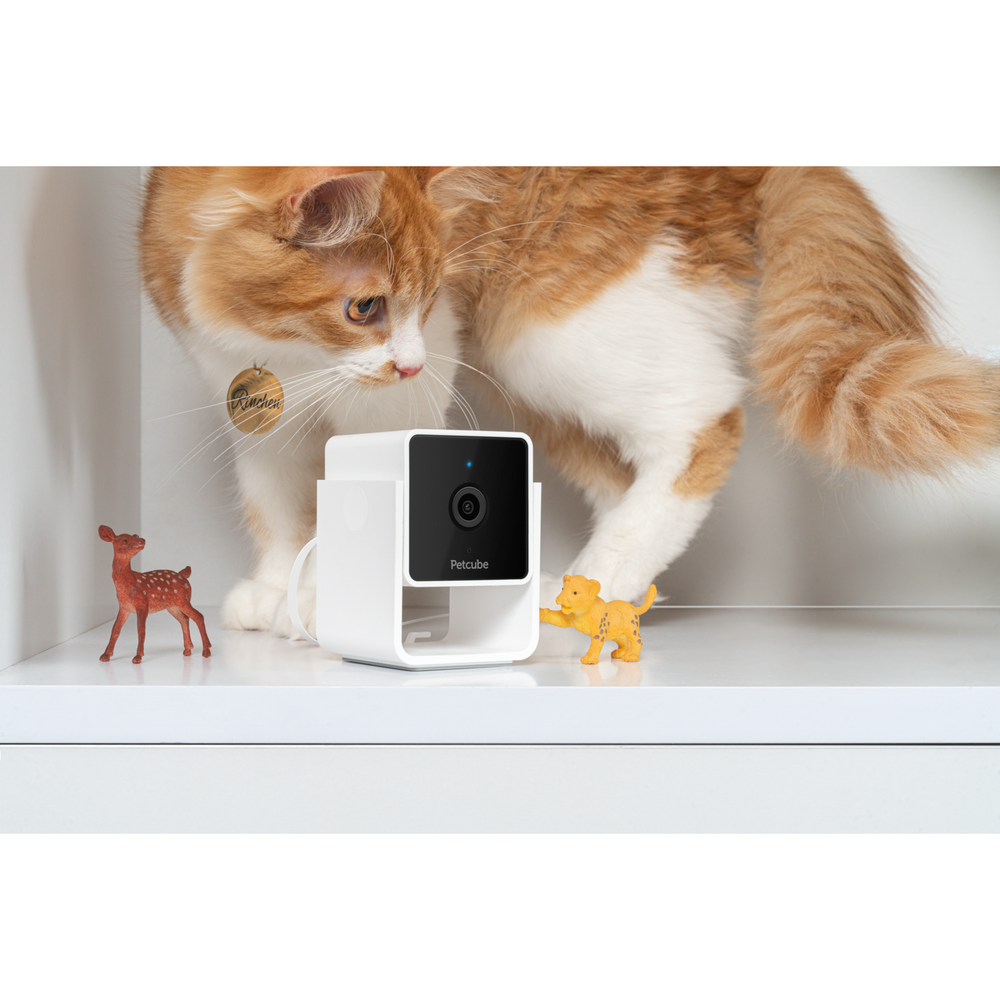 Flipside Petcube Cam - the smartest pet cam on the market, AI technology