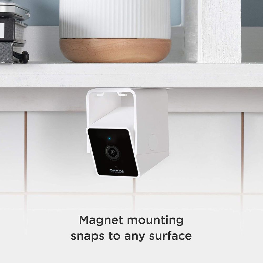 Flipside Petcube Cam - the smartest pet cam on the market, AI technology