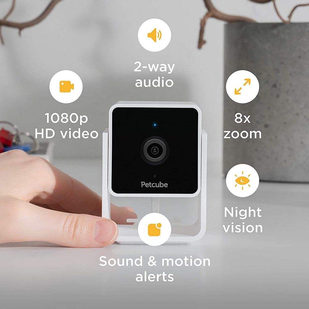 Flipside Petcube Cam - the smartest pet cam on the market, AI technology