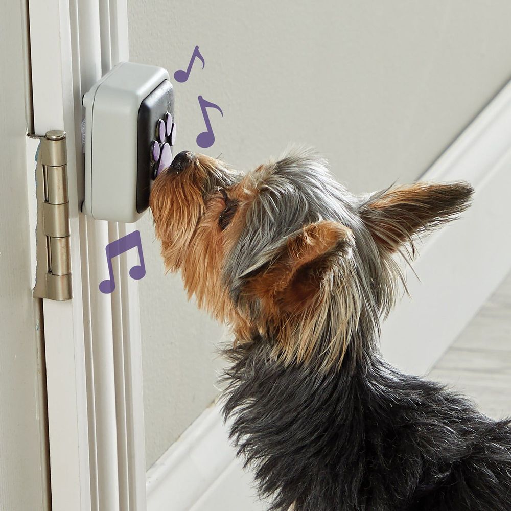 Flipside Talking Pet Doorbell with pre-recorded bell sounds