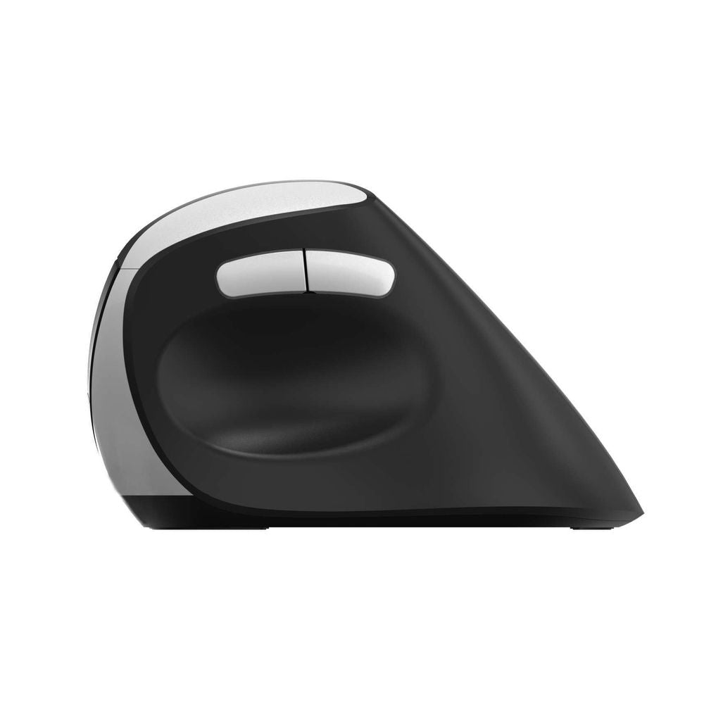 RAPOO-EV250SILENT - Rapoo EV250 Silent Wireless Ergonomic Mouse