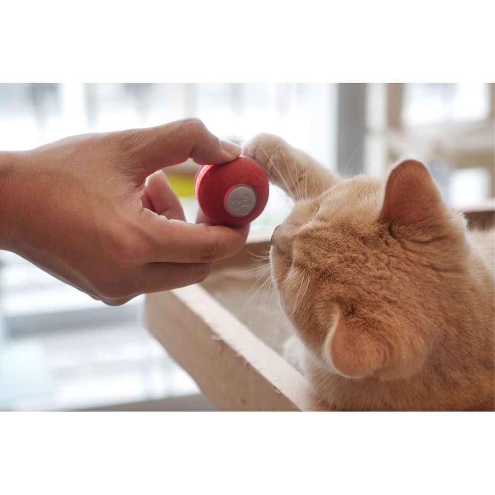 Flipside Cheerble M1 mini cat ball - Red