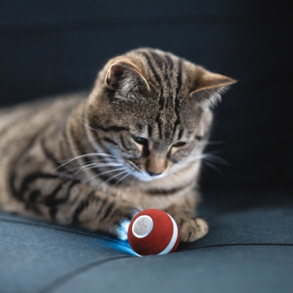 Flipside Cheerble M1 mini cat ball - Red