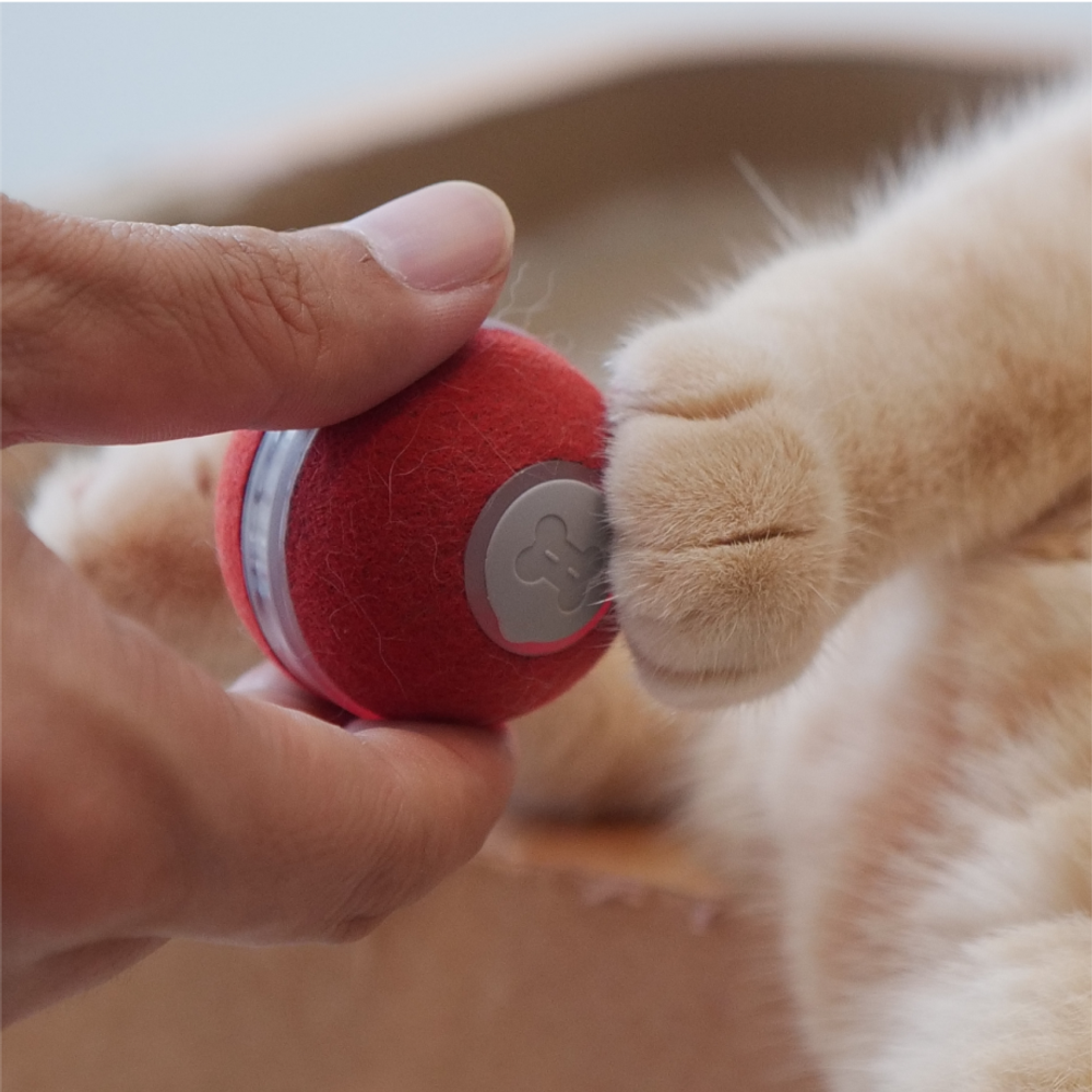 Flipside Cheerble M1 mini cat ball - Red