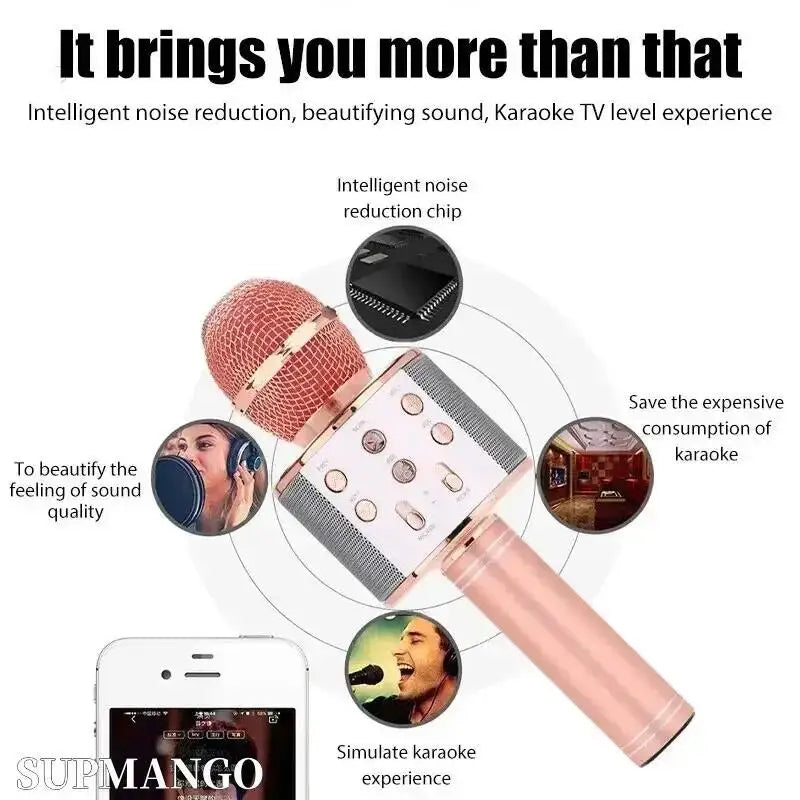 Wireless Handheld Karaoke Microphone with USB Speaker for Kids and Music Recording