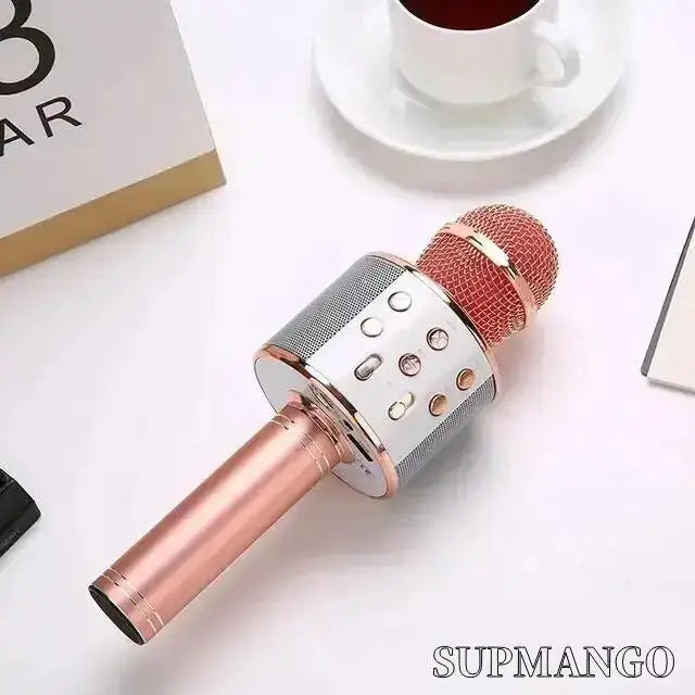 Wireless Handheld Karaoke Microphone with USB Speaker for Kids and Music Recording Pink