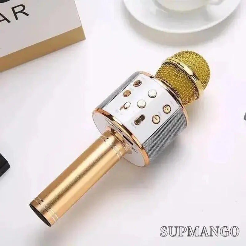 Wireless Handheld Karaoke Microphone with USB Speaker for Kids and Music Recording