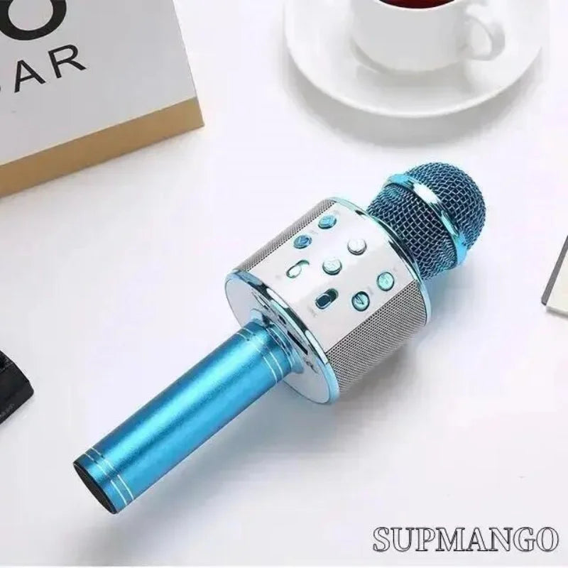 Wireless Handheld Karaoke Microphone with USB Speaker for Kids and Music Recording