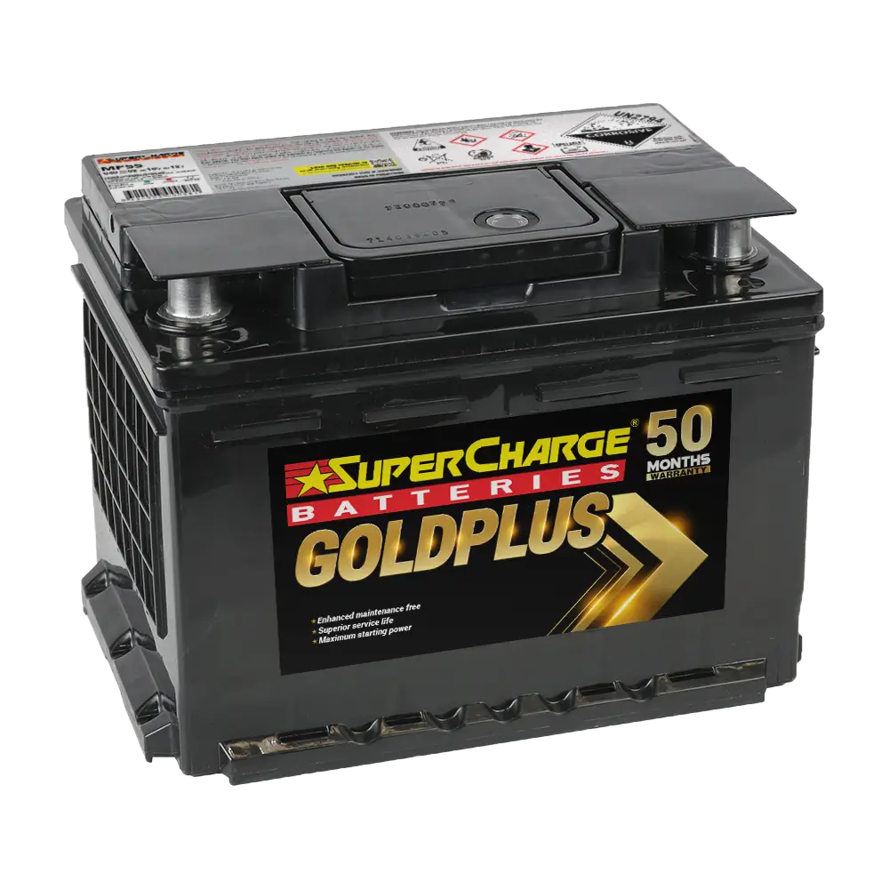 MF55 - Supercharge Goldplus MF55 Battery