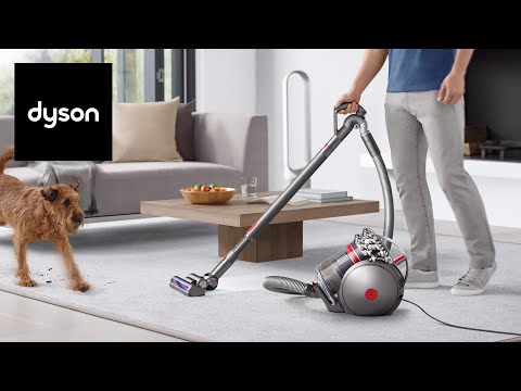 Dyson Big Ball Vacuum