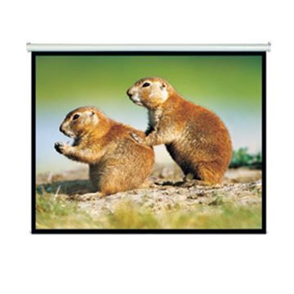 BRATECK 150'' Projector Screen, Manual Self Locking, Matte Finish. 4:3 Aspect ratio