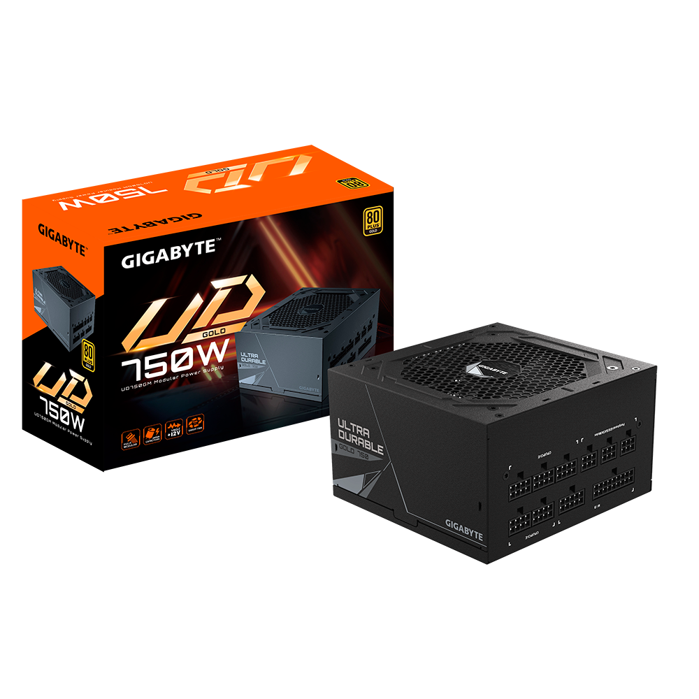 Gigabyte 750W 80 Plus Gold Full Modular Power Supply